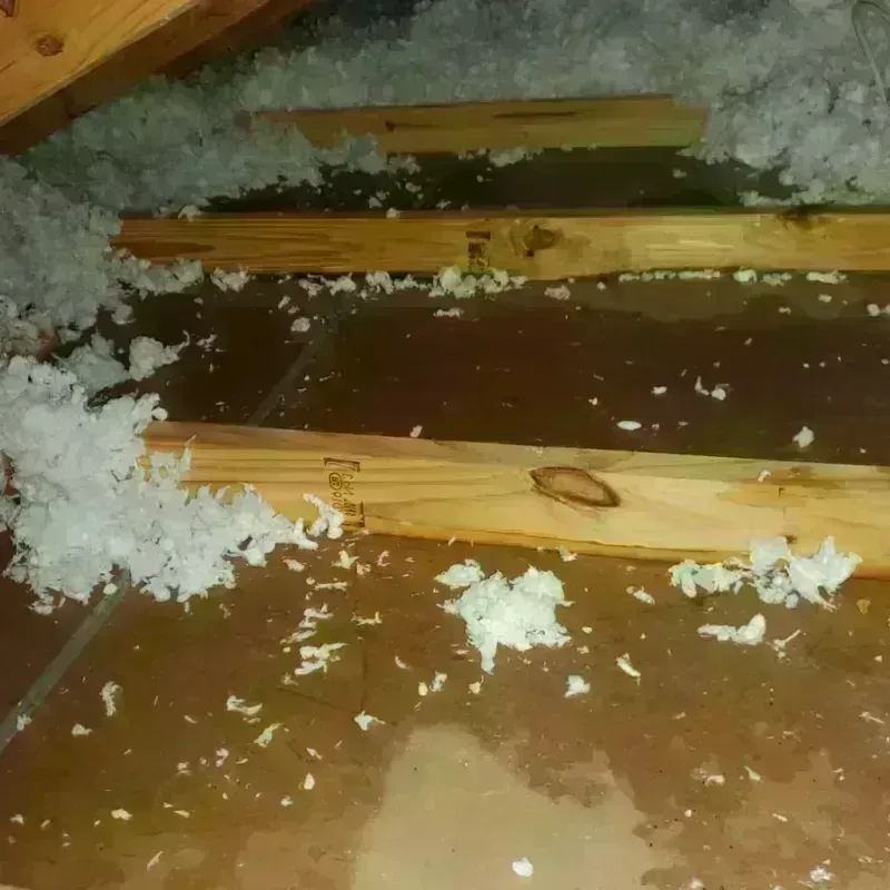 Attic Water Damage in Winfield, IN